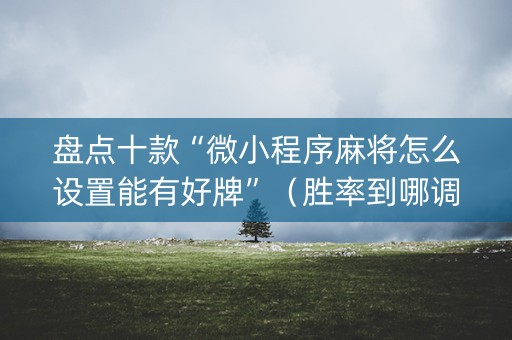 盘点十款“微小程序麻将怎么设置能有好牌”（胜率到哪调)