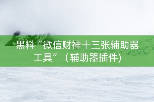 黑料“微信财神十三张辅助器工具”（辅助器插件)