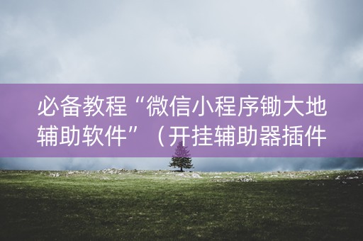 必备教程“微信小程序锄大地辅助软件”（开挂辅助器插件)
