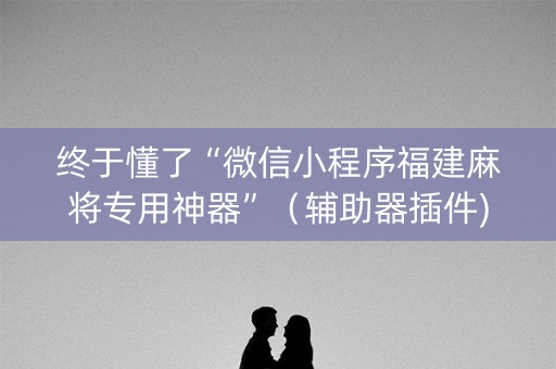 终于懂了“微信小程序福建麻将专用神器”（辅助器插件)