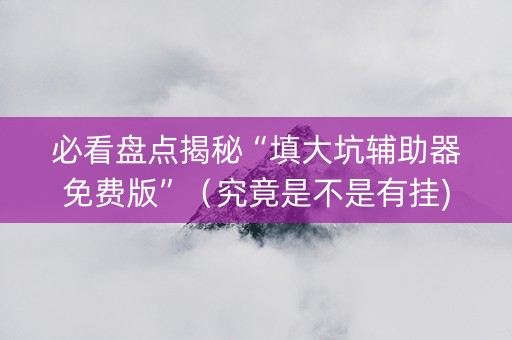 必看盘点揭秘“填大坑辅助器免费版”（究竟是不是有挂)