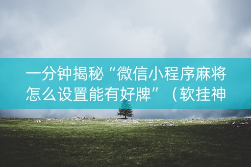 一分钟揭秘“微信小程序麻将怎么设置能有好牌”（软挂神器)