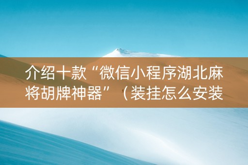 介绍十款“微信小程序湖北麻将胡牌神器”（装挂怎么安装)