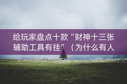 给玩家盘点十款“财神十三张辅助工具有挂”（为什么有人一直赢)