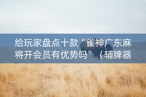 给玩家盘点十款“雀神广东麻将开会员有优势吗”（辅牌器插件购买)