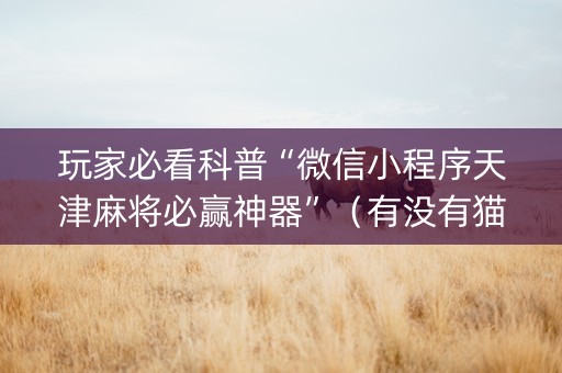玩家必看科普“微信小程序天津麻将必赢神器”（有没有猫腻)