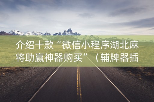 介绍十款“微信小程序湖北麻将助赢神器购买”（辅牌器插件购买)