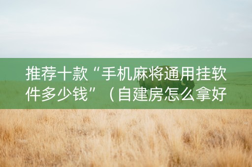 推荐十款“手机麻将通用挂软件多少钱”（自建房怎么拿好牌)