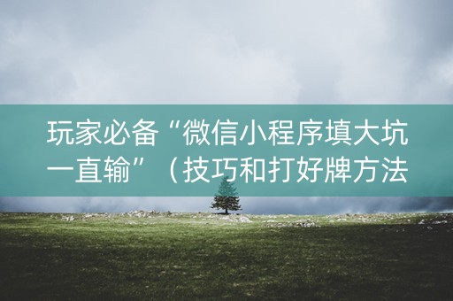 玩家必备“微信小程序填大坑一直输”（技巧和打好牌方法)