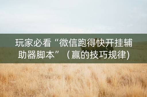 玩家必看“微信跑得快开挂辅助器脚本”（赢的技巧规律)