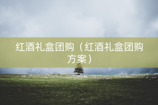 红酒礼盒团购（红酒礼盒团购方案）
