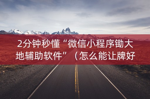 2分钟秒懂“微信小程序锄大地辅助软件”（怎么能让牌好一点)