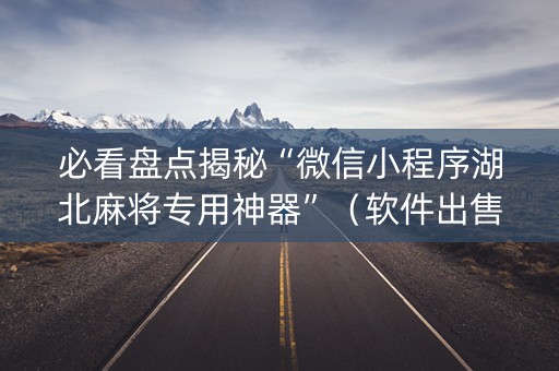 必看盘点揭秘“微信小程序湖北麻将专用神器”（软件出售)