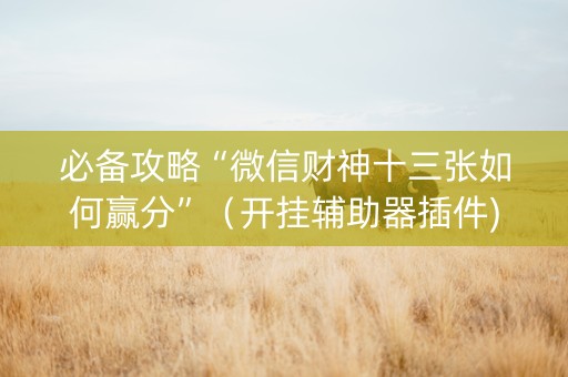 必备攻略“微信财神十三张如何赢分”（开挂辅助器插件)