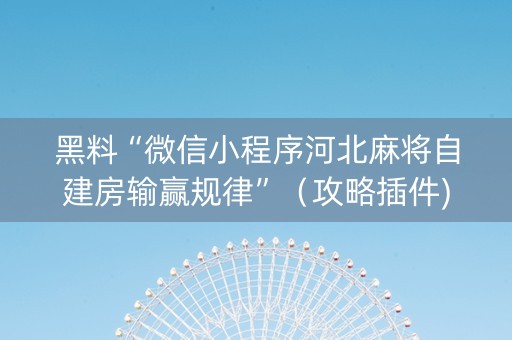 黑料“微信小程序河北麻将自建房输赢规律”（攻略插件)