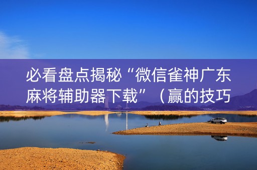 必看盘点揭秘“微信雀神广东麻将辅助器下载”（赢的技巧规律)