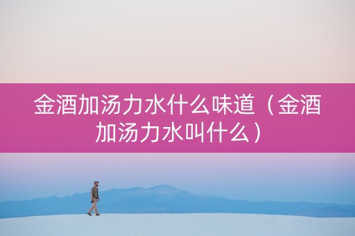 金酒加汤力水什么味道（金酒加汤力水叫什么）