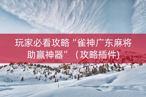 玩家必看攻略“雀神广东麻将助赢神器”（攻略插件)