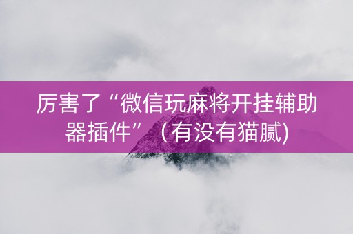 厉害了“微信玩麻将开挂辅助器插件”（有没有猫腻)