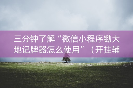 三分钟了解“微信小程序锄大地记牌器怎么使用”（开挂辅助脚本)