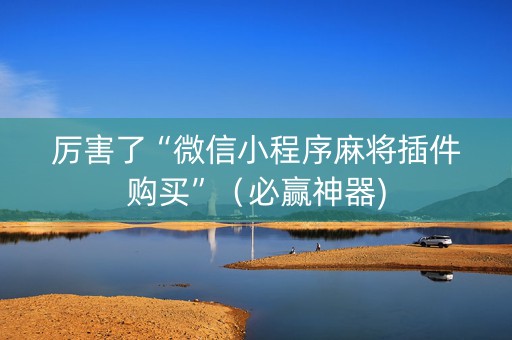 厉害了“微信小程序麻将插件购买”（必赢神器)