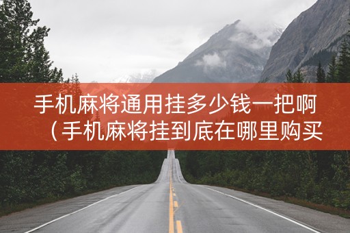 手机麻将通用挂多少钱一把啊（手机麻将挂到底在哪里购买）