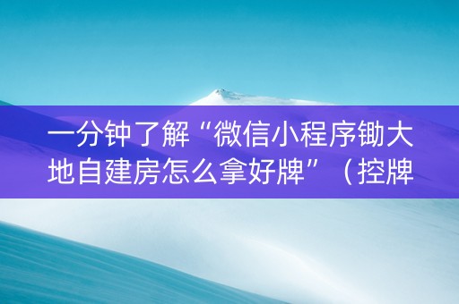 一分钟了解“微信小程序锄大地自建房怎么拿好牌”（控牌神器)
