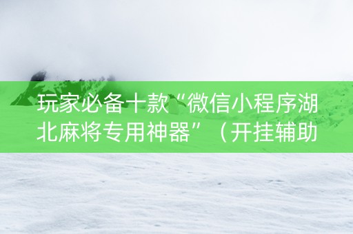 玩家必备十款“微信小程序湖北麻将专用神器”（开挂辅助脚本)