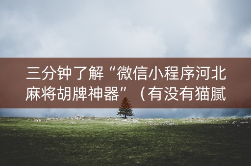三分钟了解“微信小程序河北麻将胡牌神器”（有没有猫腻)