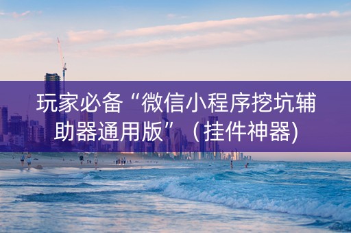 玩家必备“微信小程序挖坑辅助器通用版”（挂件神器)