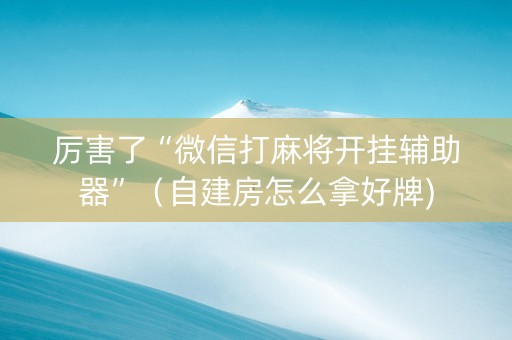 厉害了“微信打麻将开挂辅助器”（自建房怎么拿好牌)