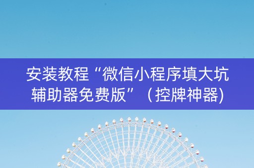 安装教程“微信小程序填大坑辅助器免费版”（控牌神器)