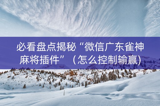 必看盘点揭秘“微信广东雀神麻将插件”（怎么控制输赢)