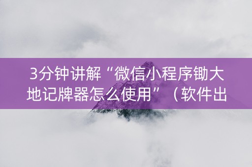 3分钟讲解“微信小程序锄大地记牌器怎么使用”（软件出售)