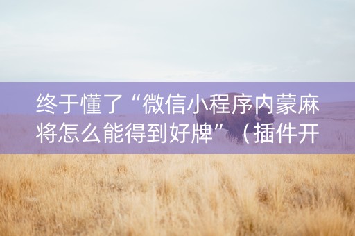 终于懂了“微信小程序内蒙麻将怎么能得到好牌”（插件开挂免费AI)
