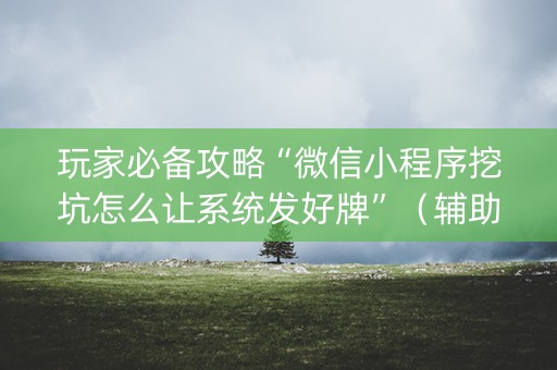 玩家必备攻略“微信小程序挖坑怎么让系统发好牌”（辅助软件)