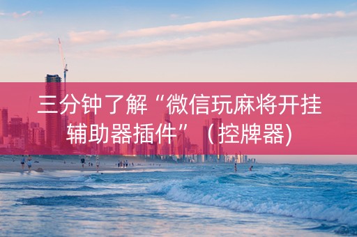 三分钟了解“微信玩麻将开挂辅助器插件”（控牌器)