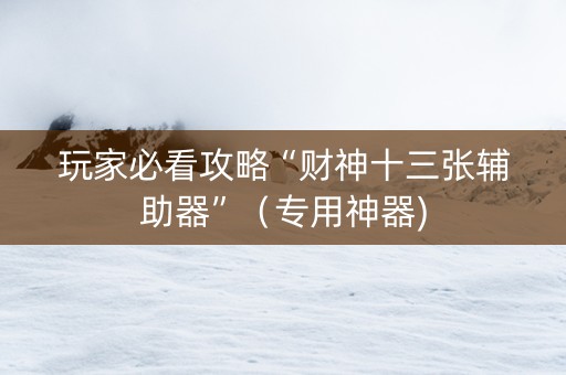 玩家必看攻略“财神十三张辅助器”（专用神器)
