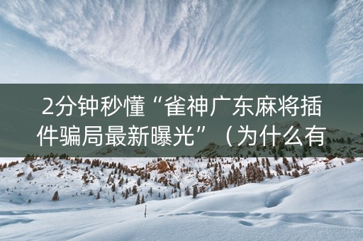2分钟秒懂“雀神广东麻将插件骗局最新曝光”（为什么有人一直赢)