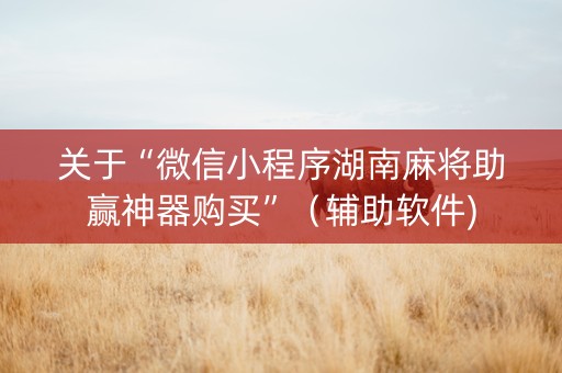 关于“微信小程序湖南麻将助赢神器购买”（辅助软件)