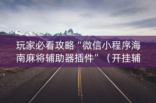 玩家必看攻略“微信小程序海南麻将辅助器插件”（开挂辅助器插件)