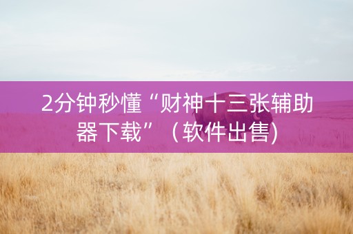 2分钟秒懂“财神十三张辅助器下载”（软件出售)