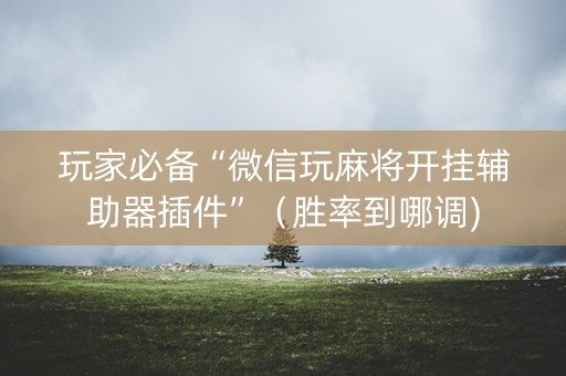 玩家必备“微信玩麻将开挂辅助器插件”（胜率到哪调)