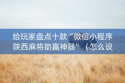 给玩家盘点十款“微信小程序陕西麻将助赢神器”（怎么设置能有好牌)