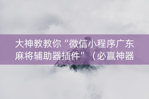 大神教教你“微信小程序广东麻将辅助器插件”（必赢神器)