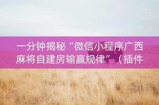 一分钟揭秘“微信小程序广西麻将自建房输赢规律”（插件可信吗)