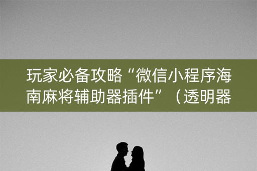 玩家必备攻略“微信小程序海南麻将辅助器插件”（透明器教程)