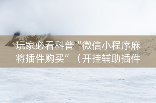 玩家必看科普“微信小程序麻将插件购买”（开挂辅助插件)