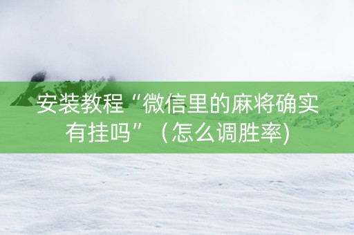 安装教程“微信里的麻将确实有挂吗”（怎么调胜率)