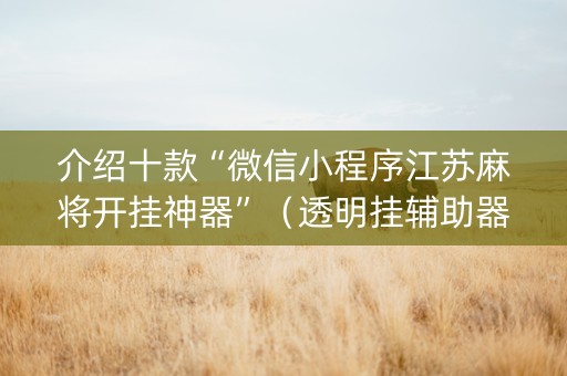 介绍十款“微信小程序江苏麻将开挂神器”（透明挂辅助器)